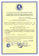 国际版职业健康安全管理体系认证证书